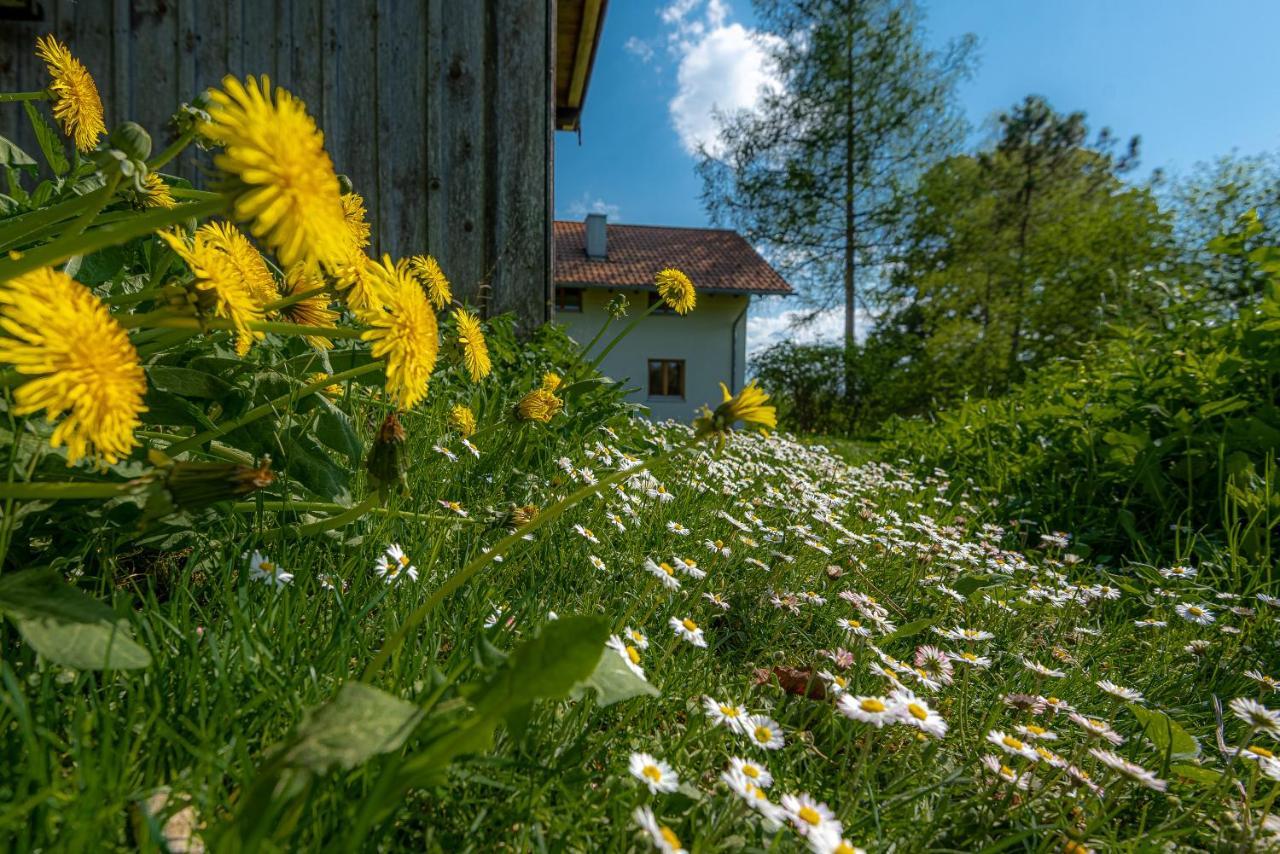 Ferienhaus Schlierachtal ミースバッハ エクステリア 写真